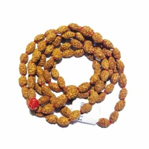 2 Mukhi Rudraksha Mala Genuine & Certified - Image 4