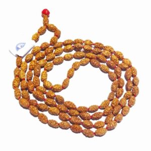 2 Mukhi Rudraksha Mala Genuine & Certified - Image 5
