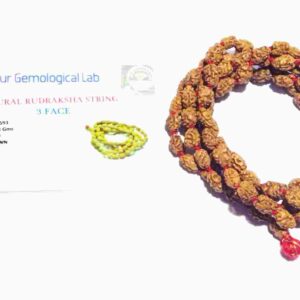 Abhimantrit 3 Mukhi Rudraksha Mala Affordable & Certified (7mm) - Image 2