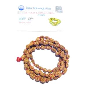 3 Mukhi Rudraksha Mala Affordable & Certified Mala (7 mm) - Image 6