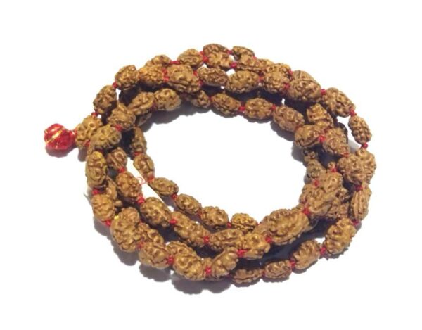 3 Mukhi Rudraksha Mala Affordable  Certified Mala 7 mm  Shivaago