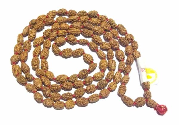 Buy Rudraksha 2, 3, 4, 5, 6, 7 Mukhi face Beads Mala Wrist Band Bracelet  for Men and Women, Rudraksha Bracelet, Yoga Bracelet, Protection Online in  India - Etsy