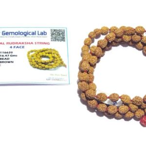Abhimantrit 4 Mukhi Rudraksha Mala Affordable & Certified 6 mm - Image 2