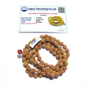 Abhimantrit 4 Mukhi Rudraksha Mala Affordable & Certified 6 mm - Image 6