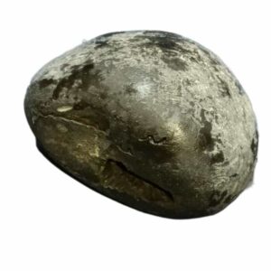 Very Rare Laxmi Narayan Shaligram 100% Genuine - 175 Gram (Lakshmi narayan) - Image 4