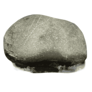 Laxmi Narayan Shaligram 100% Genuine - 399 Gram - Very Rare (Lakshmi narayan) - Image 2