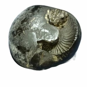 Laxmi Narayan Shaligram 100% Genuine - 276 Gram - Very Rare (Lakshmi narayan) - Image 3