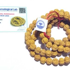Certified Faceless Rudraksha Mala 10 mm 108 Beads (Nirakar Rudraksha) - Image 2