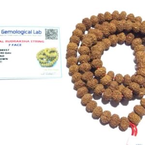 7 Mukhi Rudraksha Mala Affordable & Certified Mala Big Beads 8 mm - Image 5