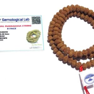 Abhimantrit 8 Mukhi Rudraksha Mala Affordable & Certified Mala - Image 2