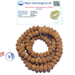 Abhimantrit 8 Mukhi Rudraksha Mala Affordable & Certified Mala - Image 5