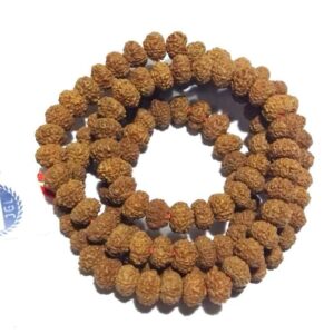 8 Mukhi Rudraksha Mala Affordable & Certified Mala - Image 4