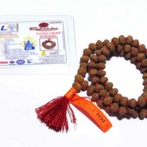 Abhimantrit 9 Mukhi Rudraksha Mala, Affordable & Certified Mala - Image 2