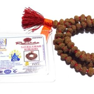 Abhimantrit 9 Mukhi Rudraksha Mala, Affordable & Certified Mala - Image 4