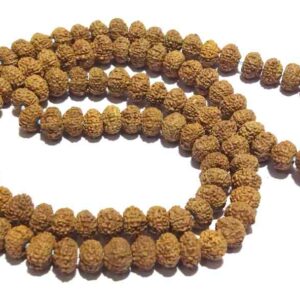 Abhimantrit 10 Mukhi Rudraksha Mala, Affordable & Certified Mala - Image 3