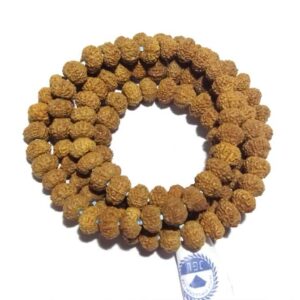 Abhimantrit 10 Mukhi Rudraksha Mala, Affordable & Certified Mala - Image 5