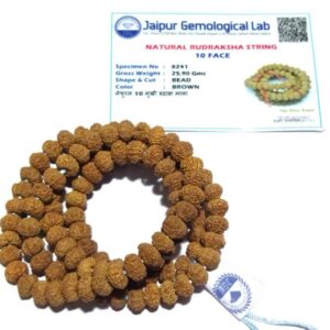 Abhimantrit 10 Mukhi Rudraksha Mala, Affordable & Certified Mala - Image 2