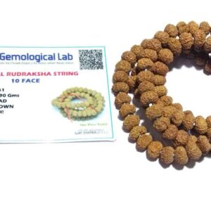 Abhimantrit 10 Mukhi Rudraksha Mala, Affordable & Certified Mala - Image 6