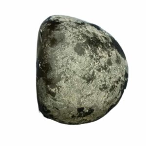 Very Rare Laxmi Narayan Shaligram 100% Genuine - 175 Gram (Lakshmi narayan) - Image 5