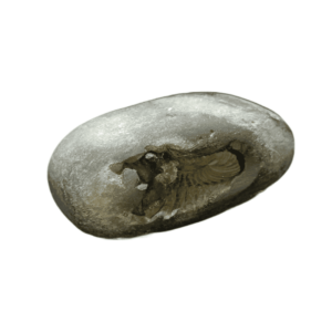 Laxmi Narayan Shaligram 100% Genuine - 399 Gram - Very Rare (Lakshmi narayan) - Image 5