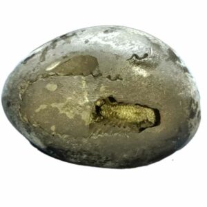 Very Rare Laxmi Narayan Shaligram 100% Genuine - 175 Gram (Lakshmi narayan) - Image 2