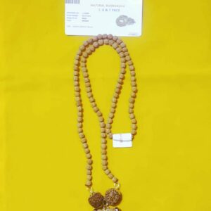 Sarva Karya Siddhi Rudraksha Mala 1, 6 & 7 Rudraksha Bead & Certified - Image 4