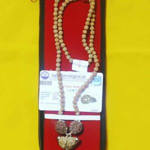 Sarva Karya Siddhi Rudraksha Mala 1, 6 & 7 Rudraksha Bead & Certified - Image 3