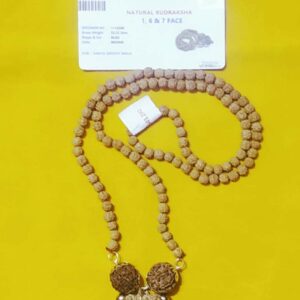 Sarva Karya Siddhi Rudraksha Mala 1, 6 & 7 Rudraksha Bead & Certified - Image 1