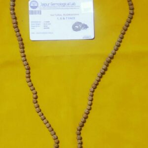 Sarva Karya Siddhi Rudraksha Mala 1, 6 & 7 Rudraksha Bead & Certified - Image 5