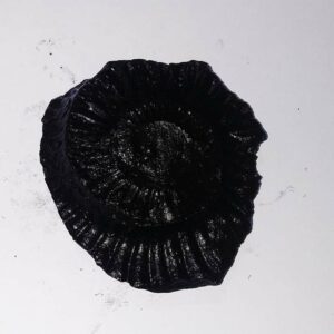 Sudarshan Shaligram 100% Genuine - 70 Gram- Very Rare - Image 1