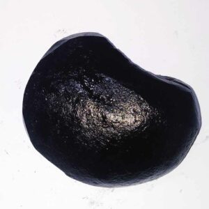 Sudarshan Shaligram 100% Genuine - 124 Gram - Very Rare - Image 2