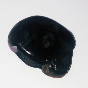 Kalki Shaligram - 100% Genuine & Authentic - 167 Gram - Image 2