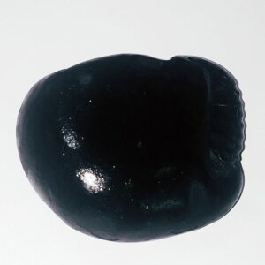 Kalki Shaligram - 100% Genuine & Authentic - 167 Gram - Image 5