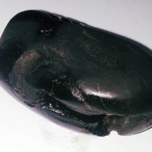Natural Narsimha Shaligram & Genuine 75 Gram - Image 2