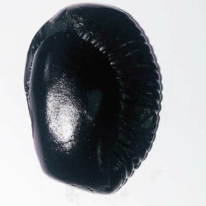 Natural Narsimha Shaligram & Genuine 75 Gram - Image 4