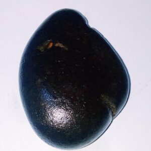 Natural Vamana Shaligram & Genuine 73 Gram - Image 4