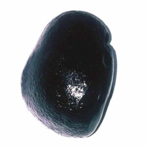 Parshurama Shaligram 114 Gram Very rare 100% Genuine - Image 3