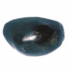 Parshurama Shaligram 70 Gram Very rare 100% Genuine - Image 3