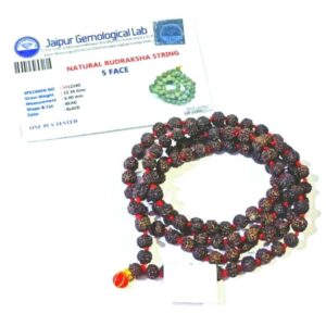 Abhimantrit 5 (Panch) Mukhi Rudraksha Mala in Black colour & Certified 6-7 mm Approx - Image 5