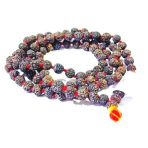 Abhimantrit 5 (Panch) Mukhi Rudraksha Mala in Black colour & Certified 6-7 mm Approx - Image 4