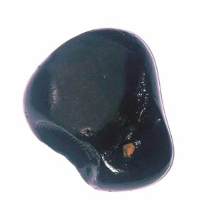 Natural Kurma Shaligram - 111 Gram Very rare 100% Genuine - Image 3