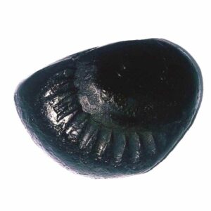 Parshurama Shaligram 114 Gram Very rare 100% Genuine - Image 2