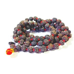 Abhimantrit 5 (Panch) Mukhi Rudraksha Mala in Black colour & Certified 6-7 mm Approx - Image 2