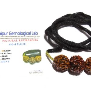Abhimantrit Saraswati Kavach & Certified Rudraksha 4-6-4 Mukhi student rudraksha - Image 5