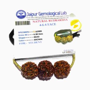 Abhimantrit Saraswati Kavach & Certified Rudraksha 4-6-4 Mukhi student rudraksha - Image 2