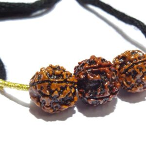 Abhimantrit Saraswati Kavach & Certified Rudraksha 4-6-4 Mukhi student rudraksha - Image 6