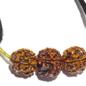 Abhimantrit Saraswati Kavach & Certified Rudraksha 4-6-4 Mukhi student rudraksha - Image 4