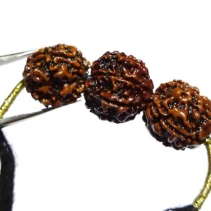 Abhimantrit Saraswati Kavach & Certified Rudraksha 4-6-4 Mukhi student rudraksha - Image 3