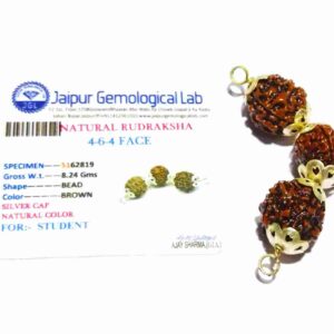 Abhimantrit Student Rudraksha 4-6-4 Mukhi (Face) Certified in Silver - Image 5