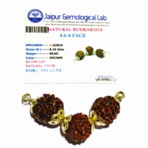 Abhimantrit Student Rudraksha 4-6-4 Mukhi (Face) Certified in Silver - Image 2